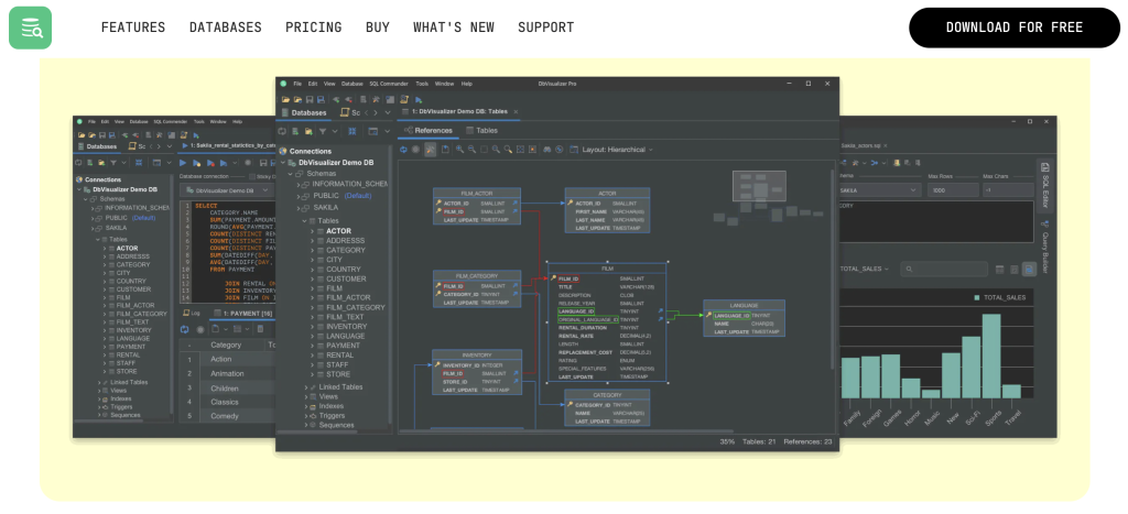 DBVisualizer_1